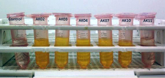 formulations