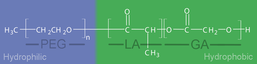 hydrophilic and hydrophobic